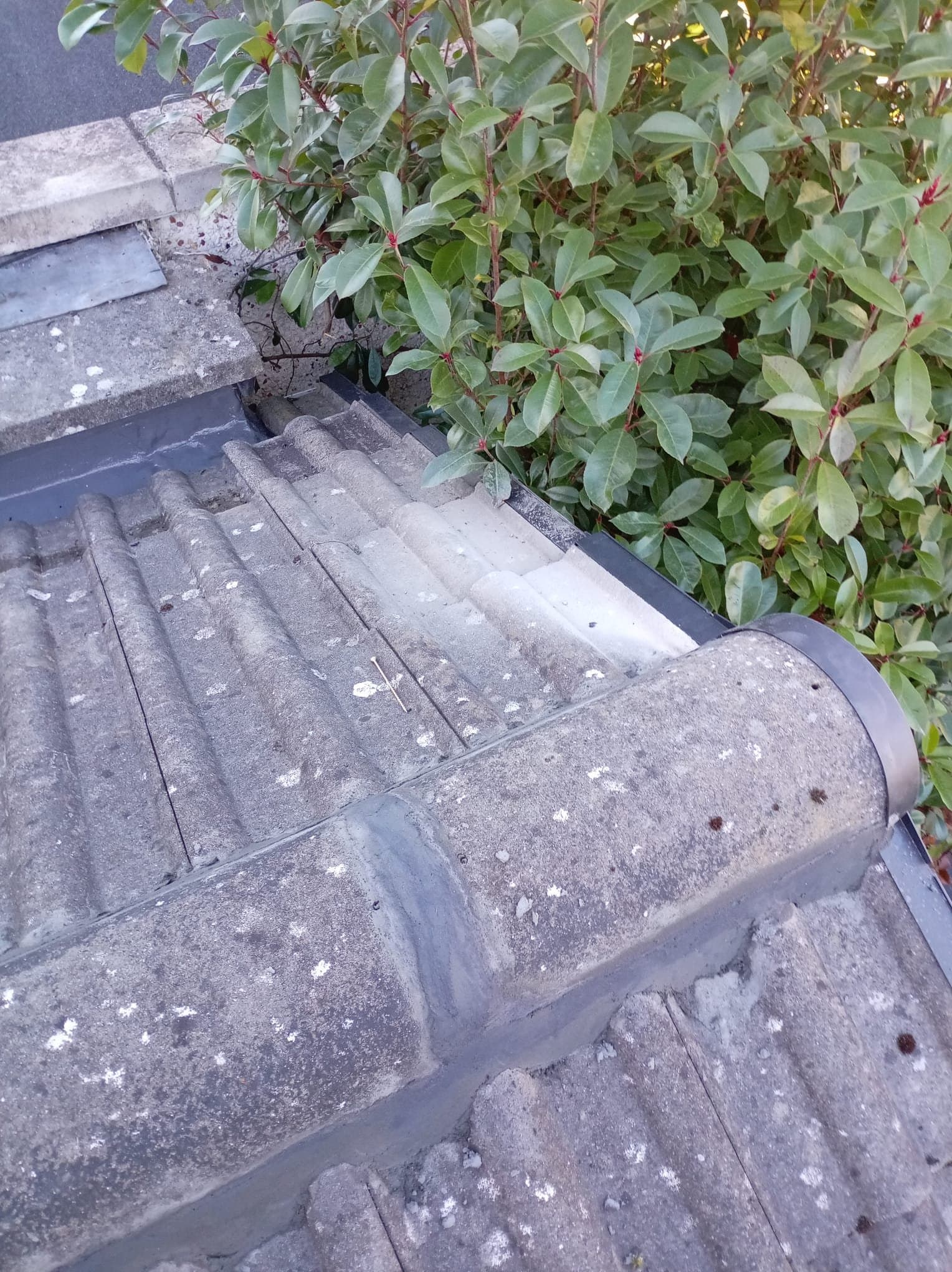 Renewed ridge pointing beside the fitted dry verge on the Clonsilla extension.