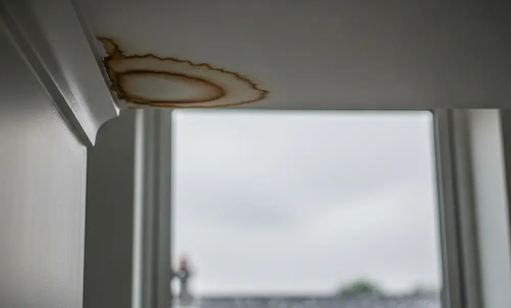 Roof Leaking Only in Heavy Rain? What It Means in Dublin - Roofing guide by Secure Top Roofing Dublin