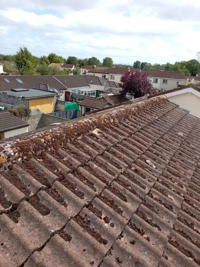 Cracked, crumbling ridge tile mortar with open gaps before repointing in Dunboyne