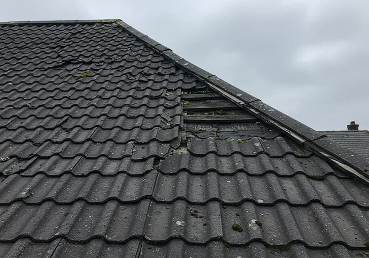 Signs Your Roof Needs Immediate Repair in Dublin: Expert Guide