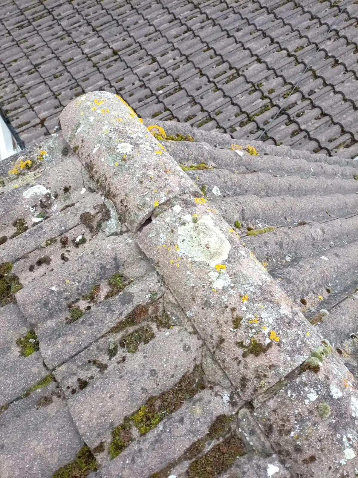 Gap beneath a ridge tile before repointing on the Whitestown roof.